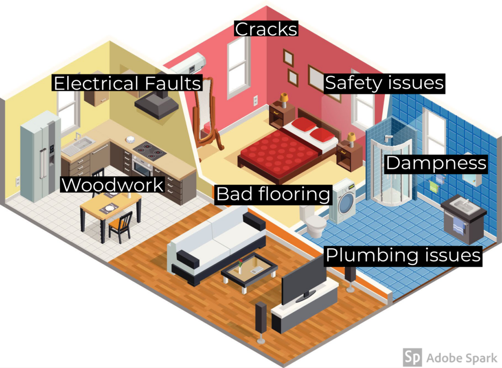 Home inspection issues